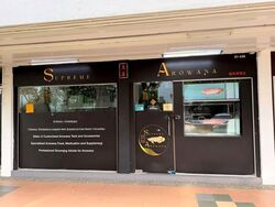 Ping-an Gardens (D16), Shop House #602687031